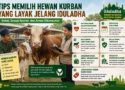 Tips Memilih Hewan Kurban yang Layak Jelang Iduladha 2026
