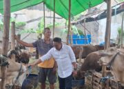 Jaga Estetika Kota, Anas Karno Minta Lurah dan Camat Jemput Bola Kawal Lapak Kurban