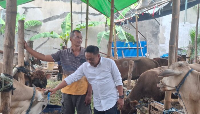 Jaga Estetika Kota, Anas Karno Minta Lurah dan Camat Jemput Bola Kawal Lapak Kurban