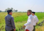 Sawah Warga Tinanding Godong Belum Digarap Pascabanjir, Petani Curhat ke Sekda Jateng