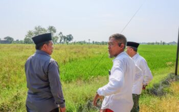 Sawah Warga Tinanding Godong Belum Digarap Pascabanjir, Petani Curhat ke Sekda Jateng
