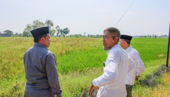 Sawah Warga Tinanding Godong Belum Digarap Pascabanjir, Petani Curhat ke Sekda Jateng