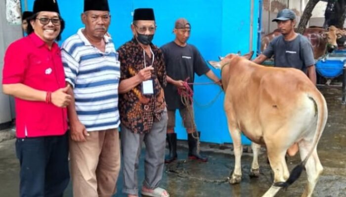 Kurban di RPH Pegirian, Ketua Fraksi PDIP Surabaya Tekankan Spirit Kepedulian dan Kelestarian Lingkungan