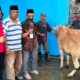 Kurban di RPH Pegirian, Ketua Fraksi PDIP Surabaya Tekankan Spirit Kepedulian dan Kelestarian Lingkungan