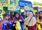 Sambut Iduladha, Kilau Nipis dari Mayora Hadirkan Solusi Higienis Alami Bukan Kimiawi