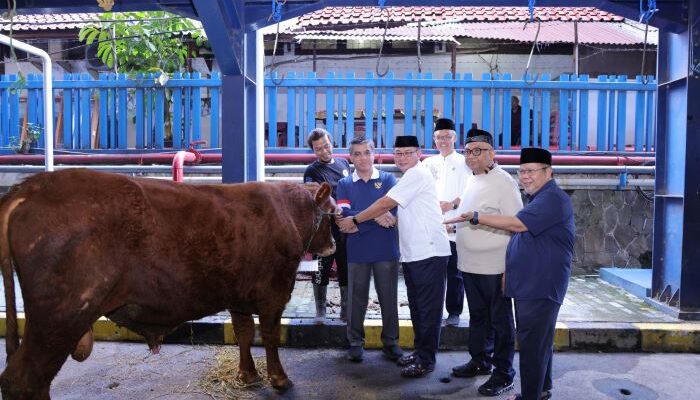 Kemnaker Himpun 93 Hewan Kurban, Menaker Ajak Perkuat Kepedulian dan Kinerja