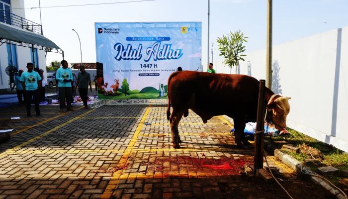 PLN UP3 Grobogan Bagikan Daging Kurban untuk Warga dan Panti Asuhan pada Iduladha 1447 H