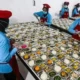 DJP Soroti Pajak Program Makan Bergizi Gratis, Penerimaan Negara Berpotensi Berkurang