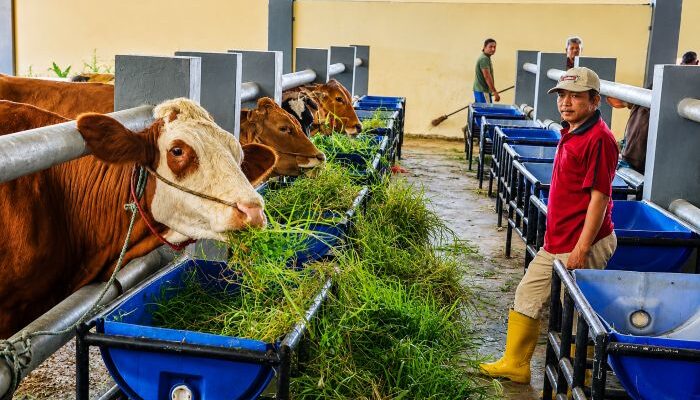 Pemkot Surabaya Buka Peluang Jagal Baru di RPH Tambak Osowilangun