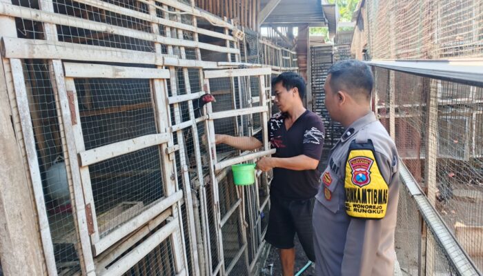 Polsek Rungkut Dukung Peternak, Perkuat Ketahanan Pangan Surabaya
