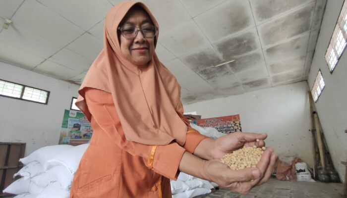 Rupiah Melemah, Harga Kedelai Impor dari Amerika Melambung
