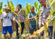 Polresta Sidoarjo Akselerasi Ketahanan Pangan Nasional Lewat Program P2B