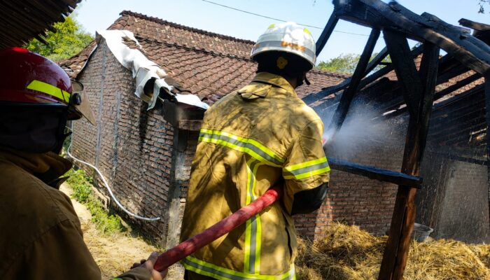 Kandang Sapi Milik Warga Bandungharjo Toroh Terbakar, Kerugian Capai Rp5 Juta