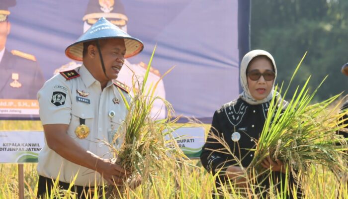 Panen Padi M70, Wabup Blora Dorong Rutan Produksi Beras Organik Tembus Pasar Jakarta