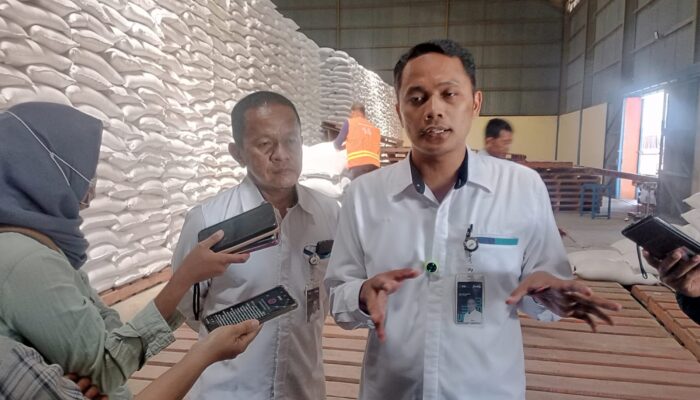 Sragen Jadi Andalan Serapan Gabah Bulog Surakarta, Sumbang 38 Ribu Ton
