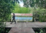 Pengelola Hutan Bakau di Rembang Bantah Isu Penutupan Destinasi Wisata