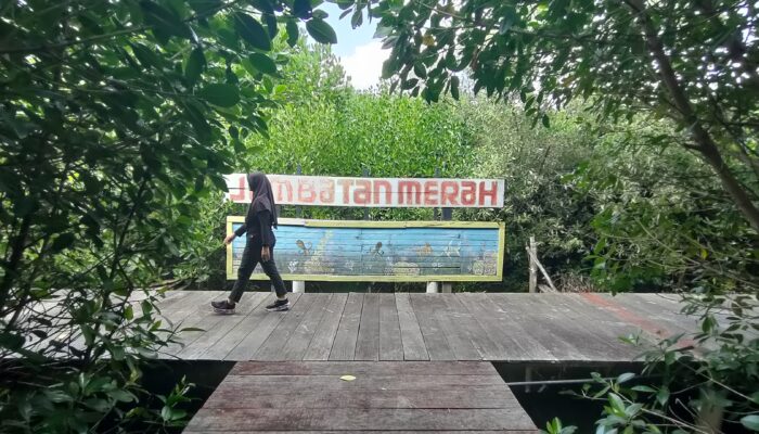 Pengelola Hutan Bakau di Rembang Bantah Isu Penutupan Destinasi Wisata