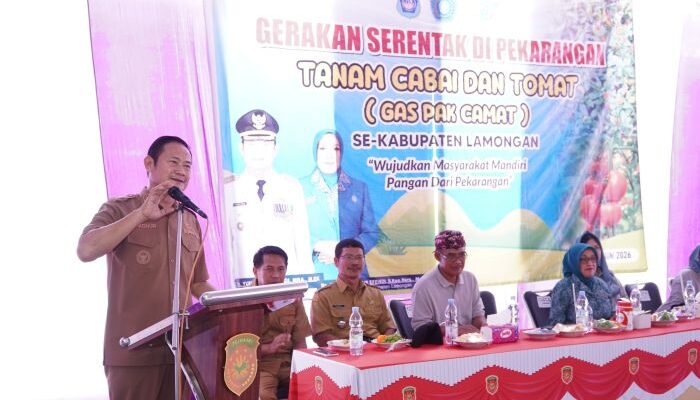 Kendalikan Inflasi Pangan, Pemkab Lamongan Luncurkan Program GAS PAK CAMAT Tanam Cabai dan Tomat Serentak