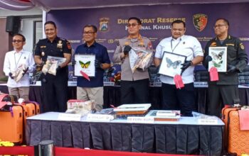 Eksploitasi Jemaah Umrah hingga Penyamaran Koper Basah, Polda Jatim Bongkar 3 Kasus Penyelundupan Satwa