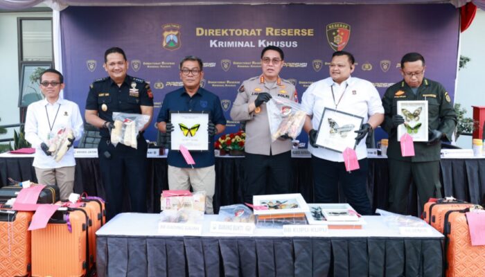 Polda Jatim Bongkar Sindikat Perdagangan Satwa dan Benur Ilegal, Empat Tersangka Diamankan