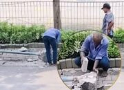 Viral di Medsos, Lansia Nekat Curi Tiang Rambu Dishub Siang Bolong