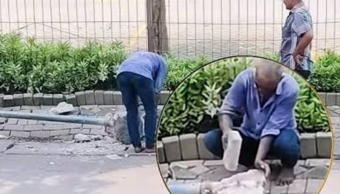 Viral di Medsos, Lansia Nekat Curi Tiang Rambu Dishub Siang Bolong