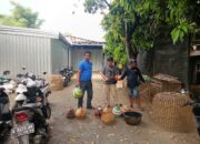 Polsek Bae Kudus Gerebek Praktik Judi Sabung Ayam di Desa Panjang, Belasan Motor Disita