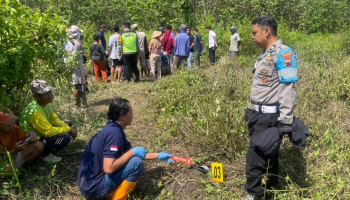 Penemuan Tengkorak Manusia Akhirnya Menguak Identitas