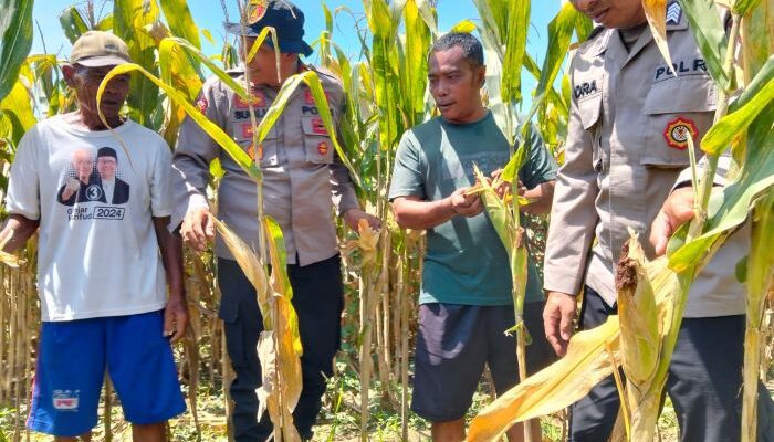 Polresta Sidoarjo Gencarkan Program P2B untuk Dukung Swasembada dan Ketahanan Pangan