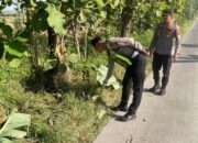 Diduga Jadi Korban Tabrak Lari, Pria 61 Tahun Ditemukan Tewas di Tepi Jalan Sragen