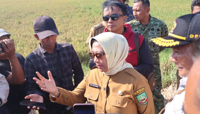Anggaran Jalan Randublatung–Cepu Naik Drastis Jadi Rp30 Miliar Setelah Diprotes Warga