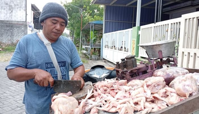 Daging Ayam vs Bebek: Mana Lebih Tinggi Kolesterol dan Lebih Sehat Dikonsumsi?