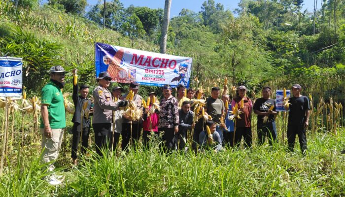 Polres Pacitan Perkuat Ketahanan Pangan Lewat Pendampingan Panen dan Evaluasi Benih Jagung