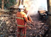 Gudang Penyimpanan Limbah Kayu di Kutorejo Mojokerto Terbakar, Tiga Unit Damkar Dikerahkan