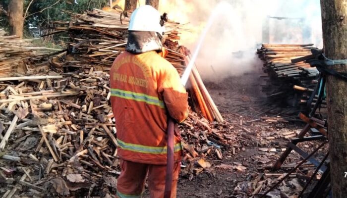 Gudang Penyimpanan Limbah Kayu di Kutorejo Mojokerto Terbakar, Tiga Unit Damkar Dikerahkan
