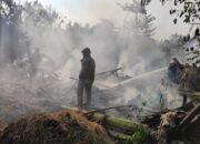 Lupa Matikan Tungku, Rumah Petani di Kunduran Ludes Terbakar