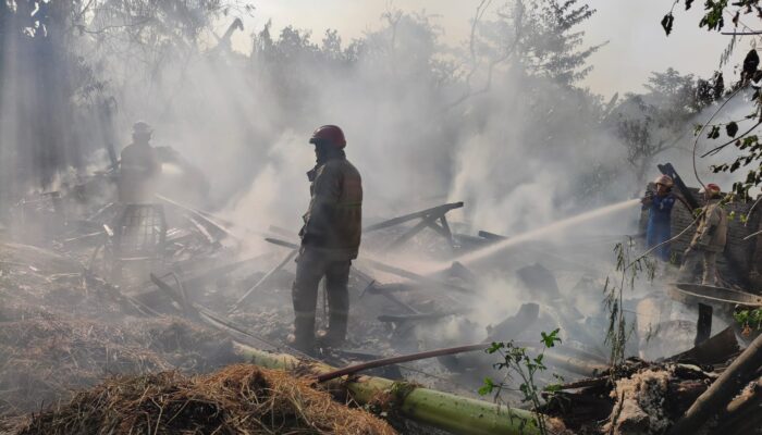 Lupa Matikan Tungku, Rumah Petani di Kunduran Ludes Terbakar