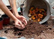 Cara Membuat Kompos dari Sampah Organik di Rumah, Mudah dan Ramah Lingkungan