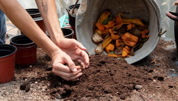 Cara Membuat Kompos dari Sampah Organik di Rumah, Mudah dan Ramah Lingkungan