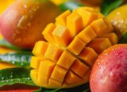 10 Olahan Buah Mangga yang Lezat dan Mudah Dibuat, dari Jus hingga Sambal Mangga