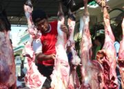 Pemkot Surabaya Pastikan Daging Kurban Aman, Organ Terindikasi Penyakit Langsung Diafkirkan
