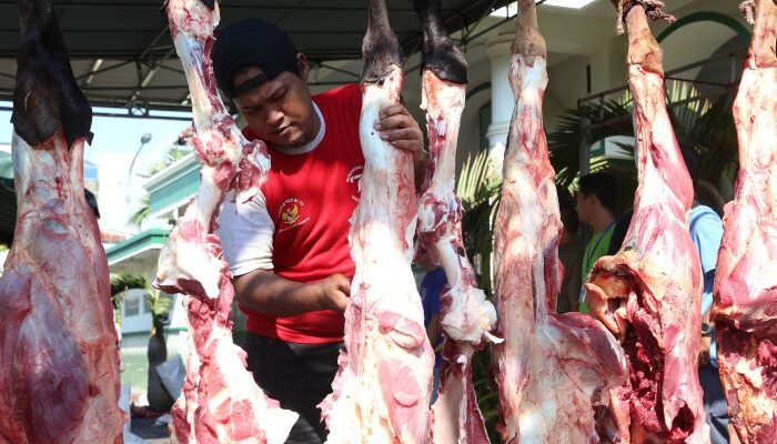 Pemkot Surabaya Pastikan Daging Kurban Aman, Organ Terindikasi Penyakit Langsung Diafkirkan