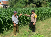 Personil Unit Binmas Polsek Kademangan berbincang dengan petani saat menyambangi kebun jagung di Kelurahan Kademangan, Probolinggo, Jumat (17/7/2026)