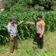 Sambangi Kebun Jagung Demi Dukung Ketahanan Pangan