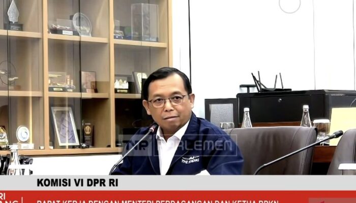 DPR Minta Kemendag Perketat Pengamanan Pasar Domestik, Lindungi UMKM dari Gempuran Produk Impor