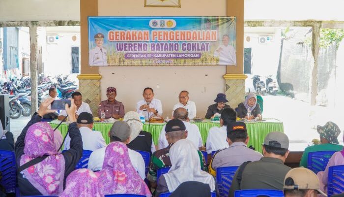 Cegah Gagal Panen, Pemkab Lamongan Gelar Gerdal Wereng Batang Coklat Serentak di 19 Kecamatan