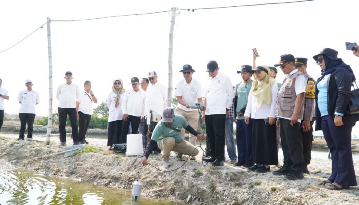 Genjot Produktivitas Tambak, Pemkab Lamongan Terapkan Teknologi IoT dan Venjet di Kampung Kerapu Brondong