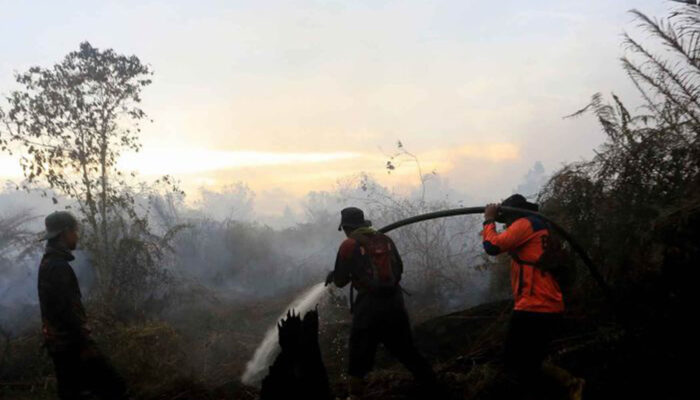 Karhutla Melanda Empat Daerah di Jatim