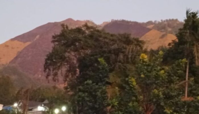 Gunung Ringgit Terbakar 4,5 Hektare