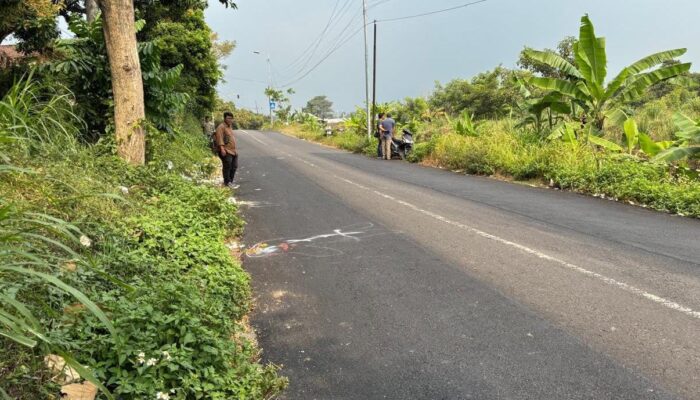 Adu Banteng Motor GL dan Sepeda Listrik di Trawas Mojokerto, Dua Pengendara Meninggal Dunia